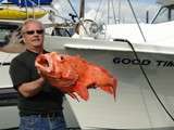 David with Rockfish